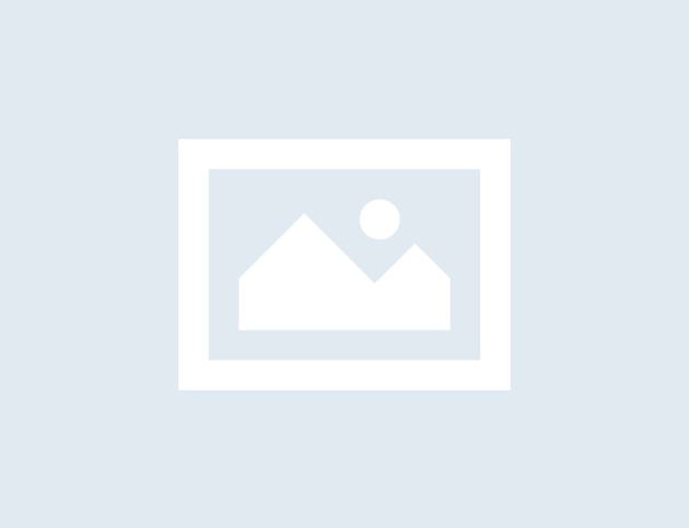 No-Image placeholder No-Image placeholder